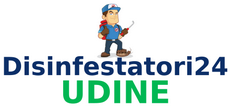 Disinfestatori24 Udine